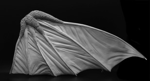 1972_Ghidorah_24.jpg 1972_Ghidorah_24.jpg