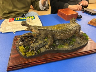 IMG_0665.jpg IMG_0665.jpg