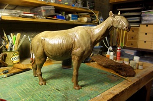 Indy gets a wash. I need to let this dry overnight.